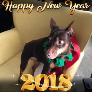 Meet your Posher, Gina